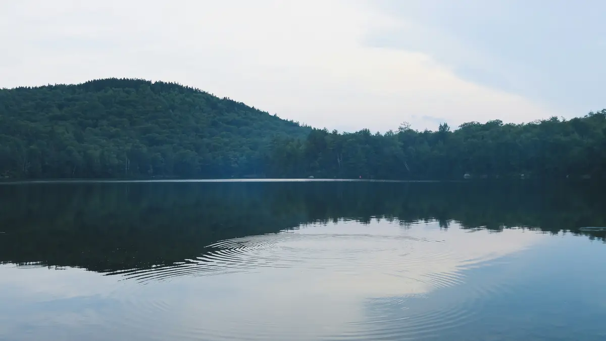 Calm summer lake and forest in the White Mountains, New Hampshire